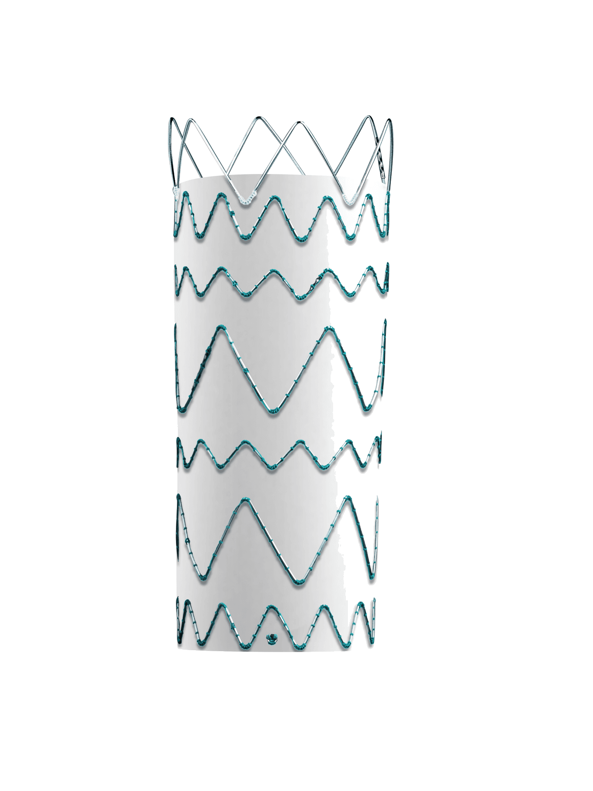 Percutek Tycheseal™ AAA System — aortic stent graft system — 4