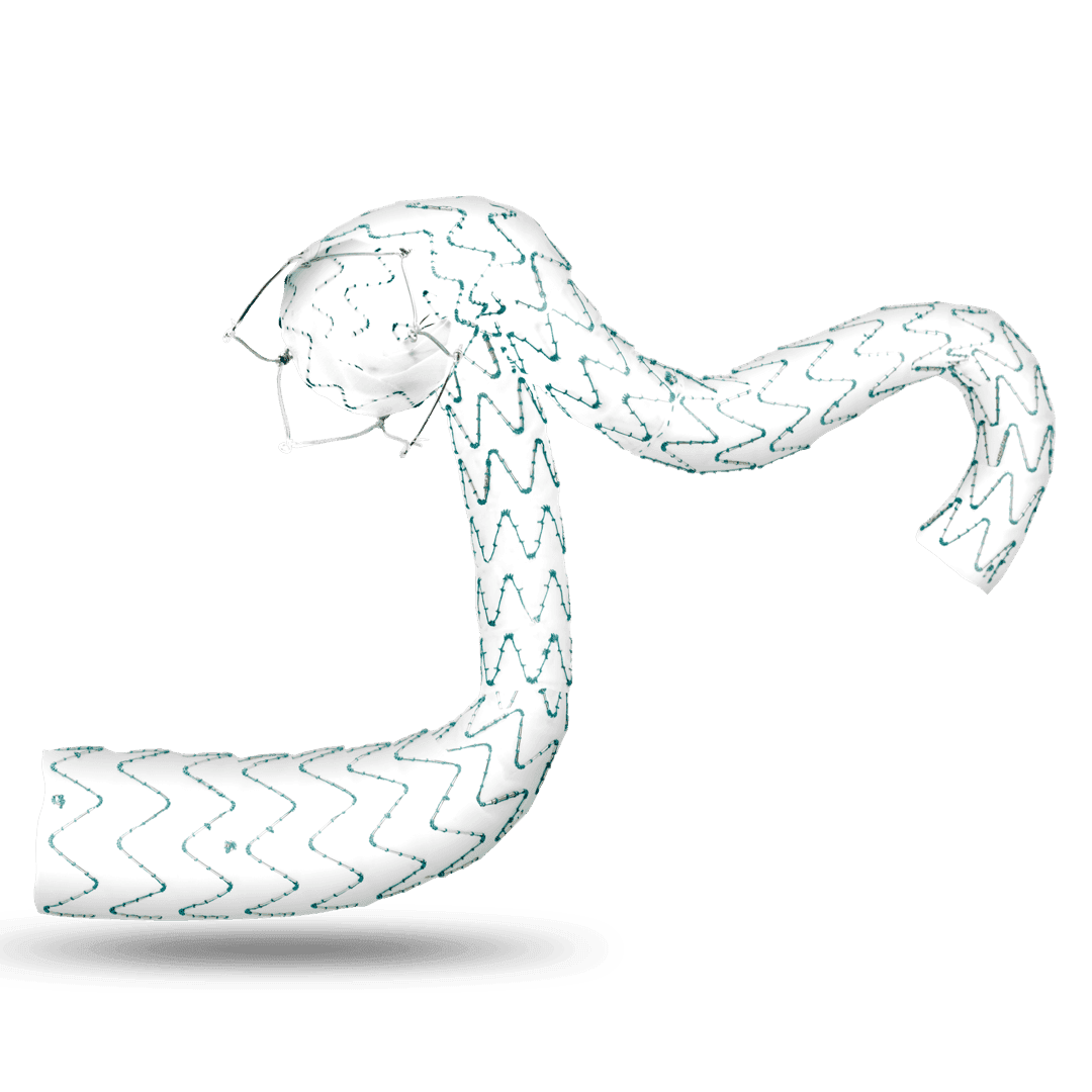 Percutek Tycheseal™ AAA System — aortic stent graft system — 1