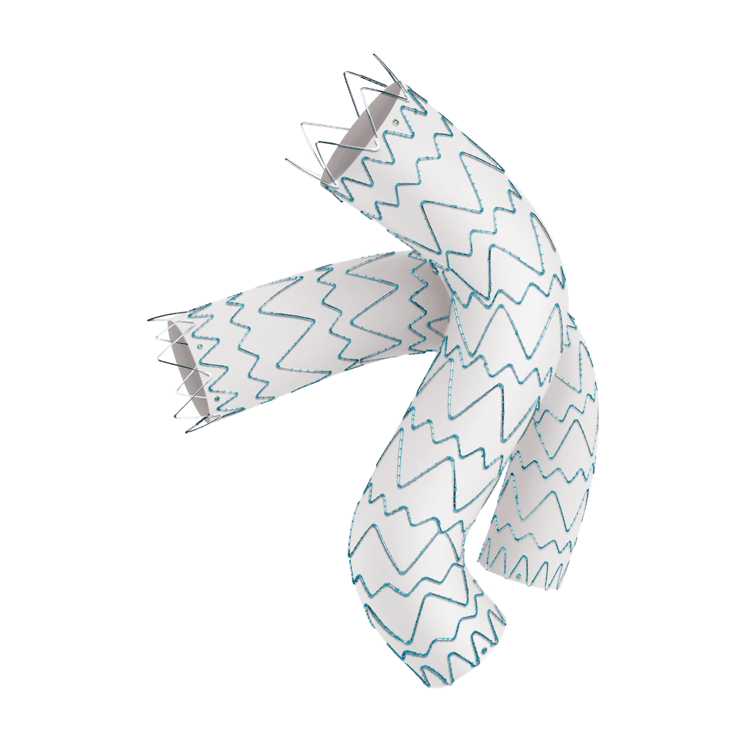 Percutek Tycheseal™ TAA System — aortic stent graft system — 1