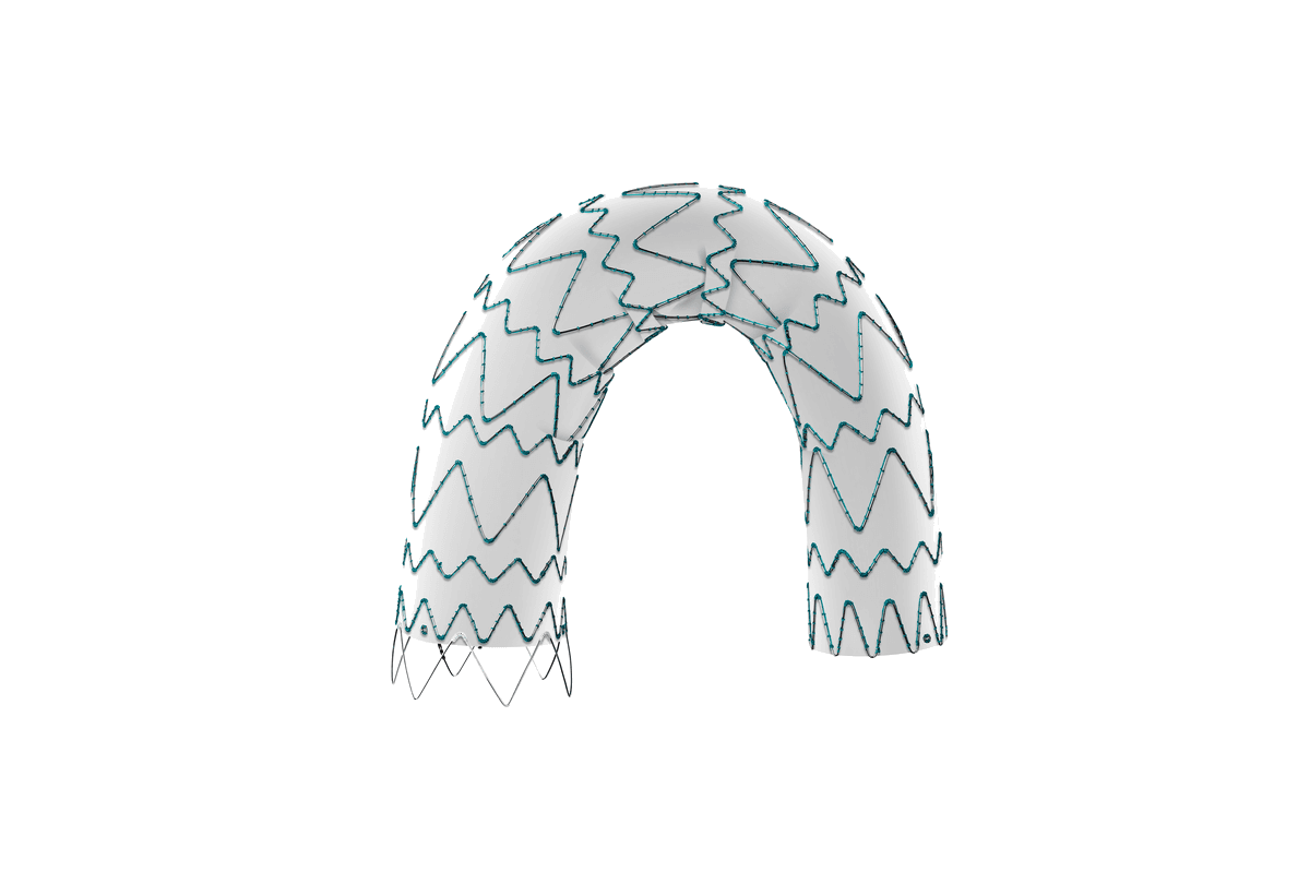 Percutek Tycheseal™ TAA System — aortic stent graft system — 2
