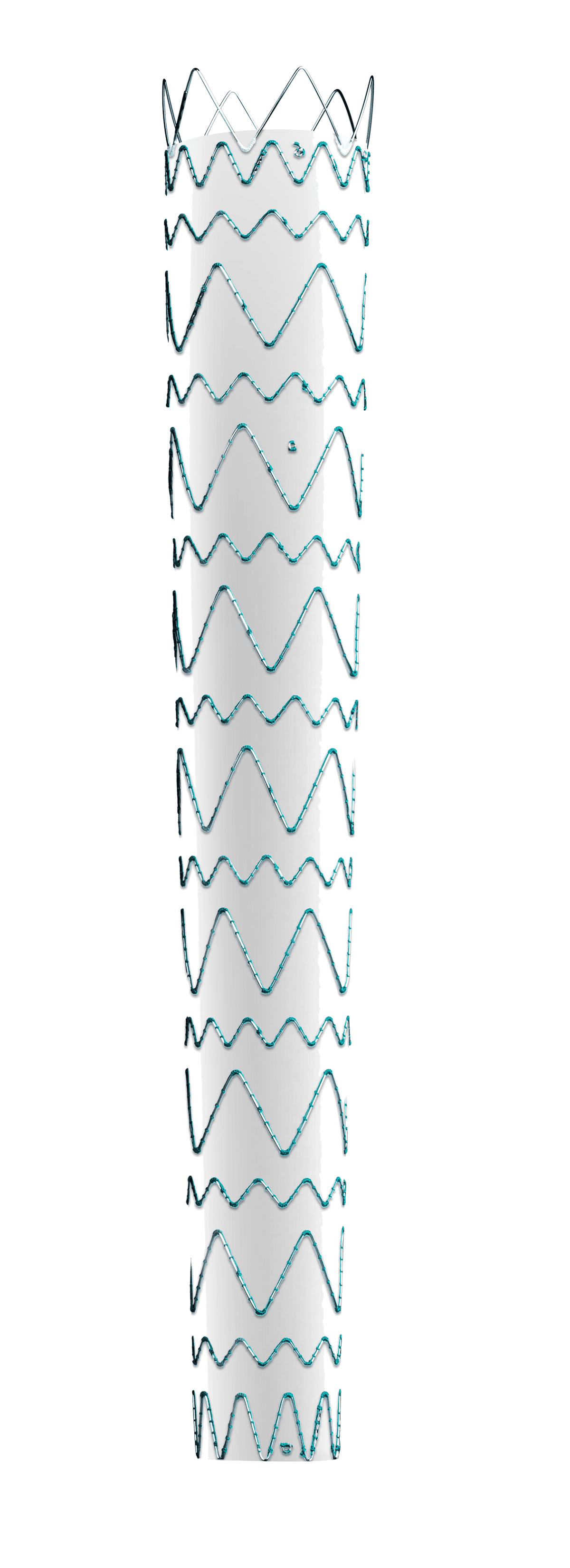 Percutek Tycheseal™ TAA System — aortic stent graft system — 3